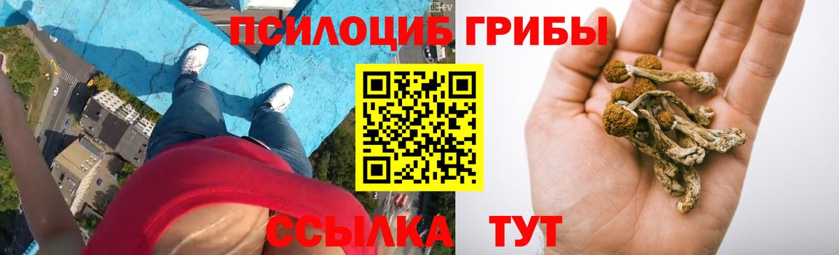Псилоцибиновые грибы мухоморы Шали